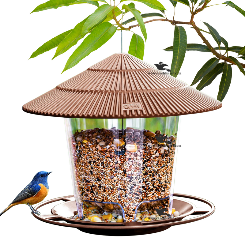 Bird Hanging Feeder – Squirrel-Proof Outdoor Feeder