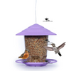 Bird Hanging Feeder – Squirrel-Proof Outdoor Feeder