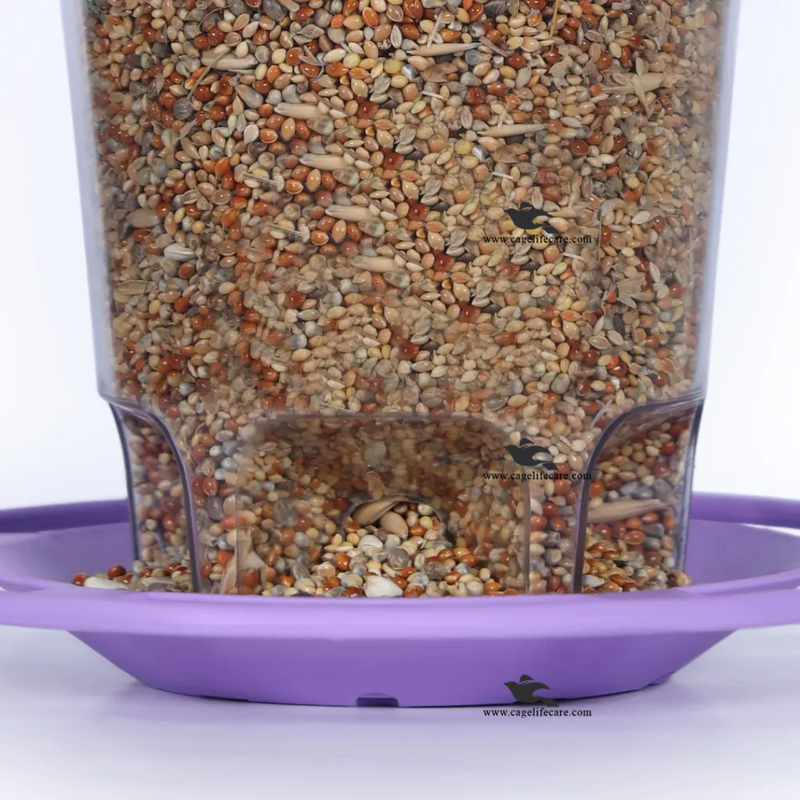 Bird Hanging Feeder – Squirrel-Proof Outdoor Feeder