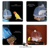 Crescent Feeder for Birds – Mess-Free Bird Feeder for Cages
