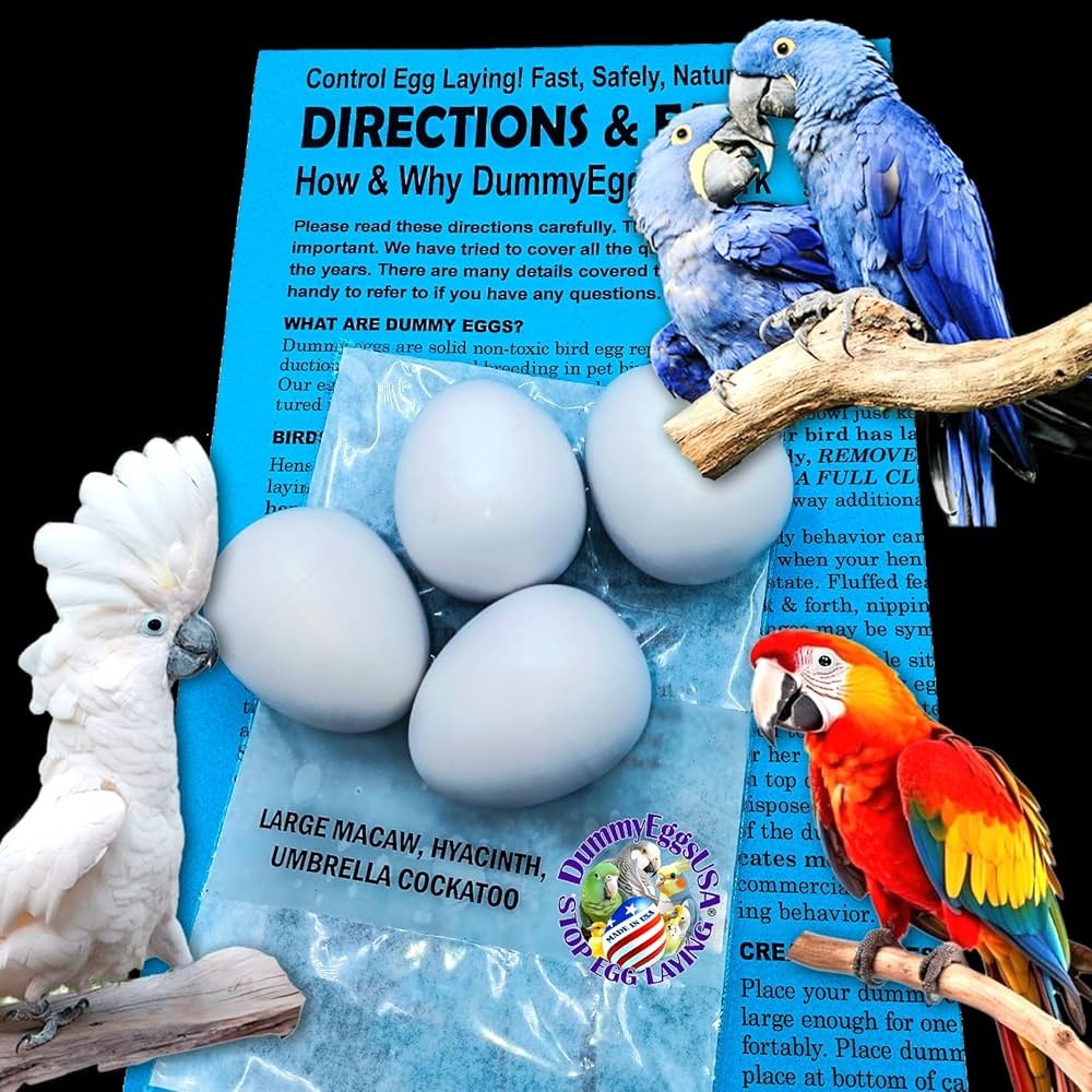 Dummy Eggs for Large Parrots – Nesting Aid