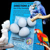 Dummy Eggs for Large Parrots – Nesting Aid