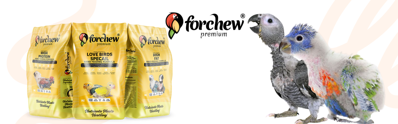For Chew Premium