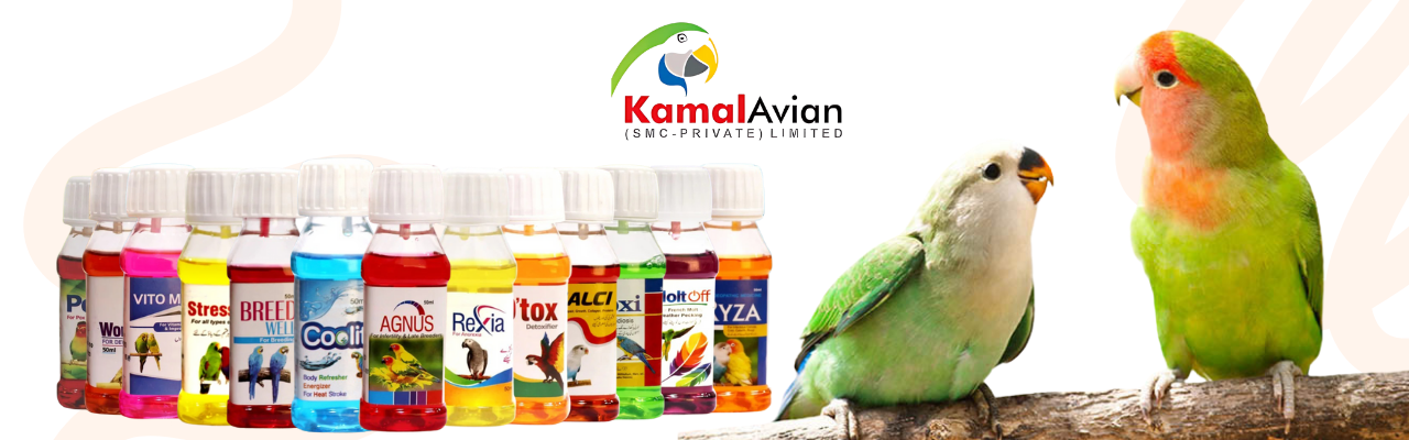 Kamal Avians
