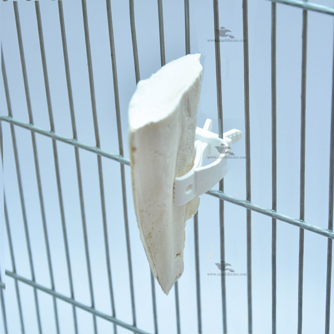 Multi-Purpose Shark Grip Clip For Birds & Pets Cuttle Bone Holder