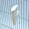 Multi-Purpose Shark Grip Clip For Birds & Pets