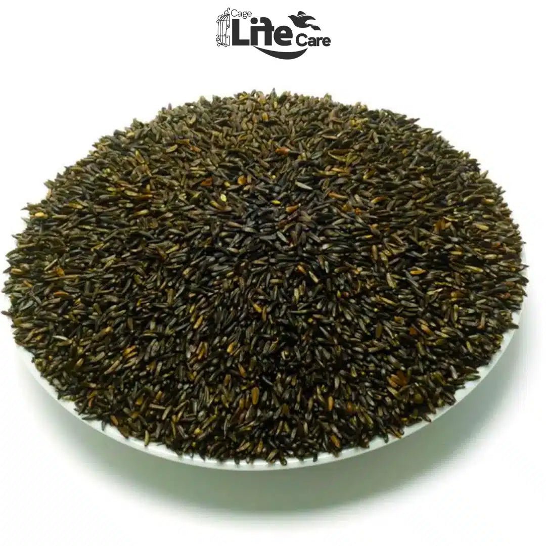 Niger Seed – Oily Fatty Seeds for Birds