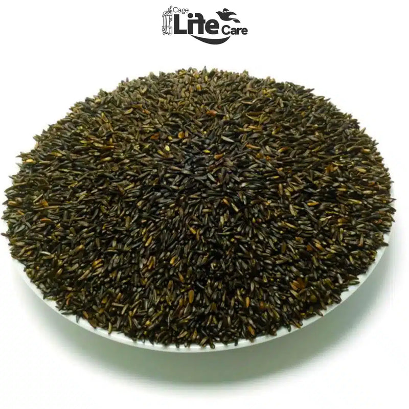 Niger Seed – Oily Fatty Seeds for Birds