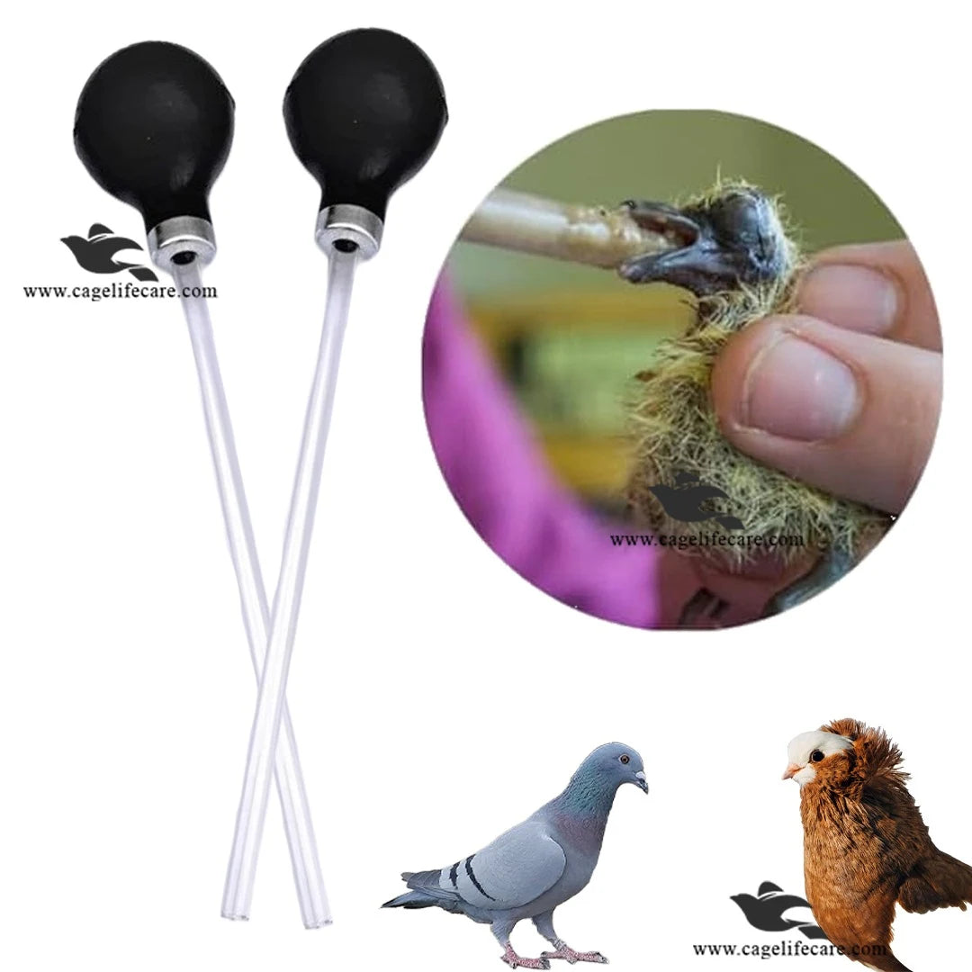 Pigeon Feeding Pump – Essential Tool for Precise Feeding & Medication