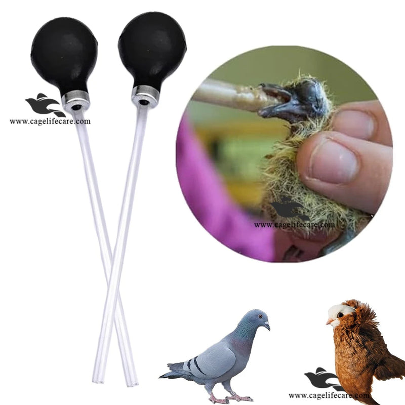 Pigeon Feeding Pump – Essential Tool for Precise Feeding & Medication