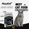 Nourvet Natural Silver Cat Food – 1 KG