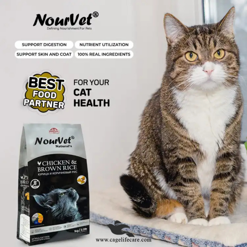 Nourvet Natural Silver Cat Food – 1 KG