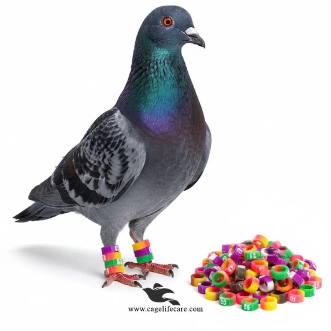 Pigeon double-color silicone number rings pack of 10