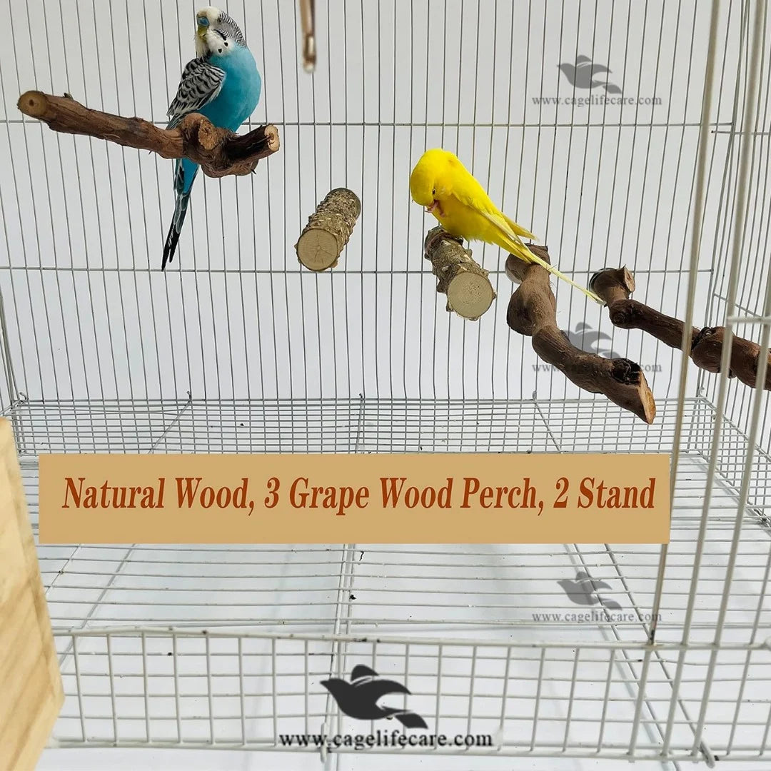 Wing Nut Perch – Natural Tree Branches Sticks for Birds with budgies