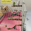 Wing Nut Perch – Natural Tree Branches Sticks for Birds