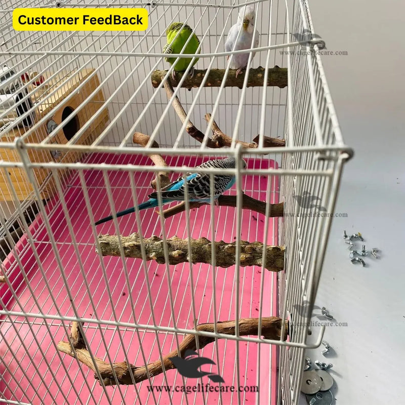 Wing Nut Perch – Natural Tree Branches Sticks for Birds